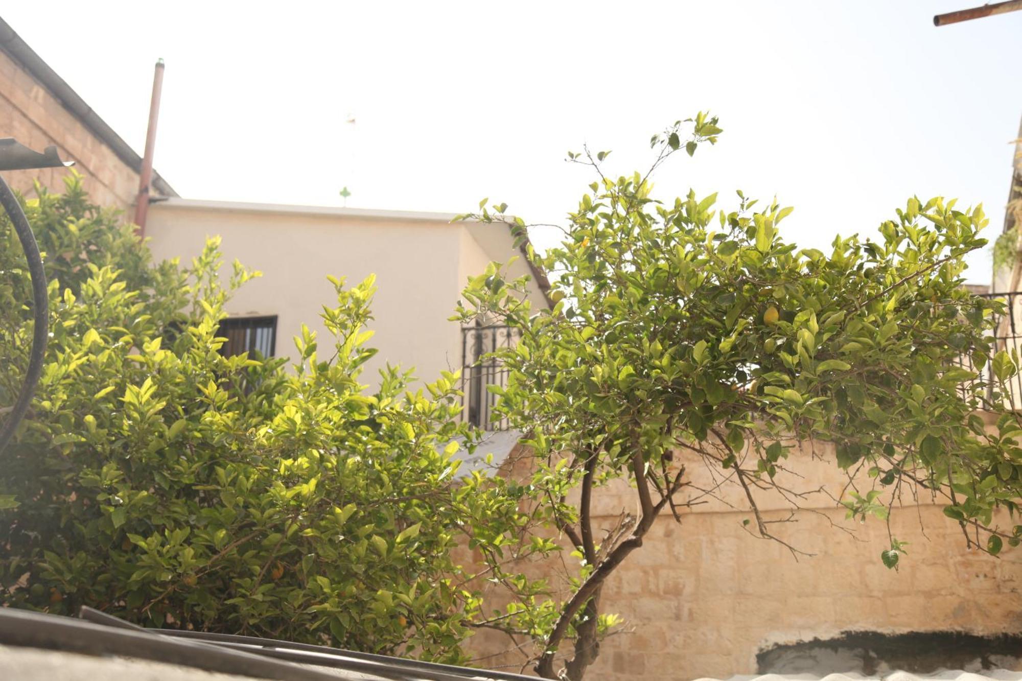 Habira Apartment