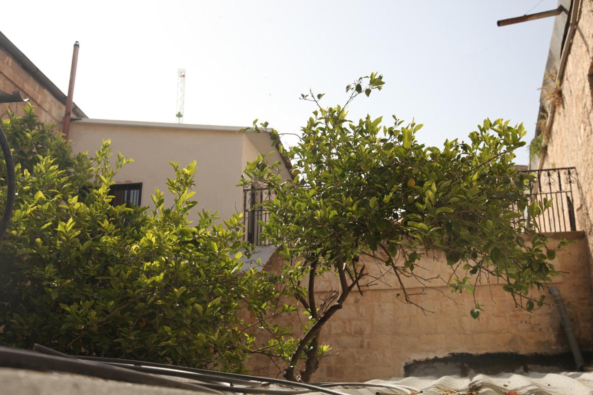 Apartment Habira